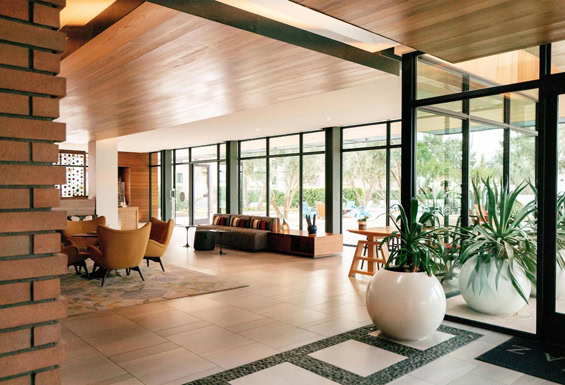 Scottsdale - Andaz Scottsdale Resort & Bungalows - Wohnzimmer
