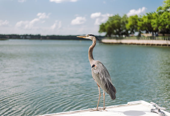 South Carolina - Hilton Head