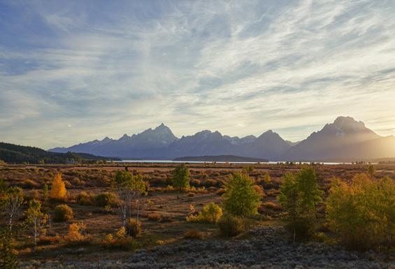 Grand Teton - Berglandschaft 3