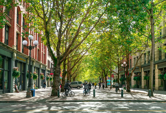 Seattle - Allee