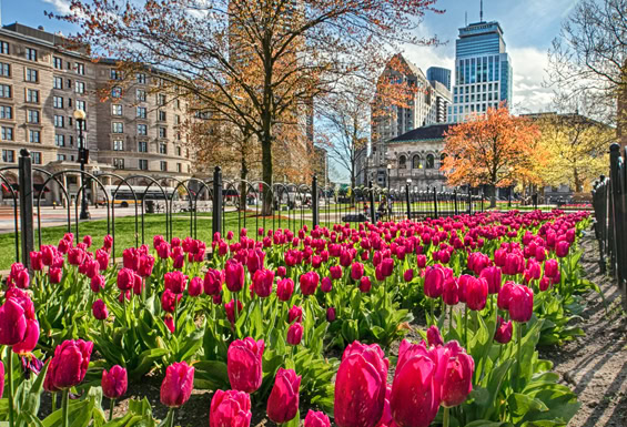 Boston - Copley Square