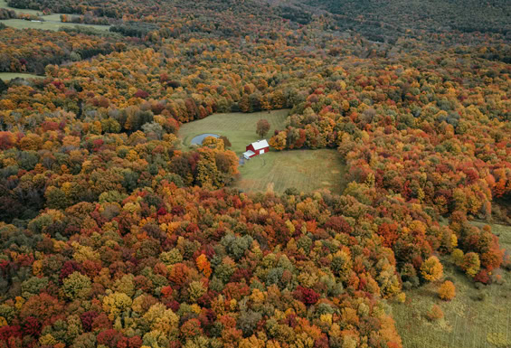 Catskill Mountains 2