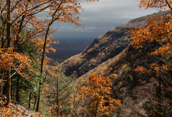 Catskill Mountains 4