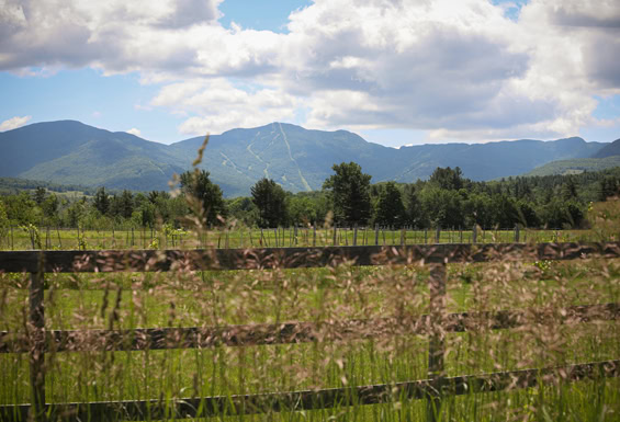 Green Mountains 3